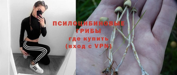 ПСИЛОЦИБИНОВЫЕ ГРИБЫ Алексеевка